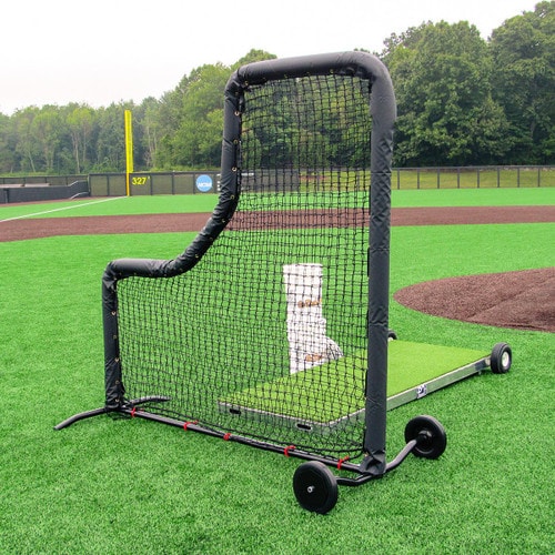 Baseball Protective Screen