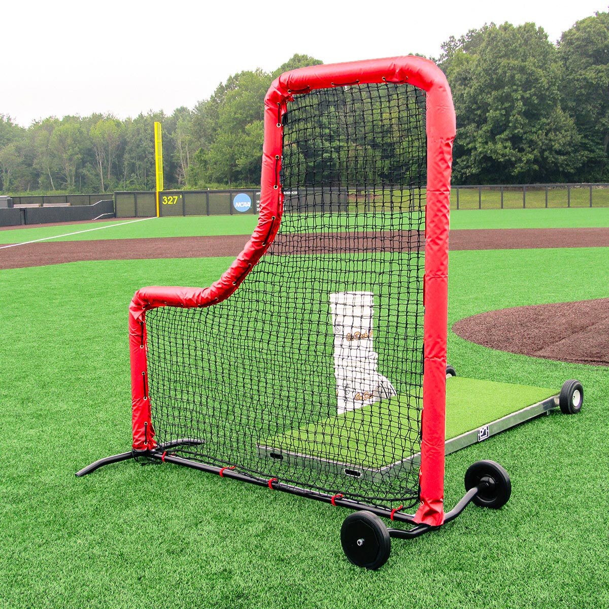 Baseball Protective Screen