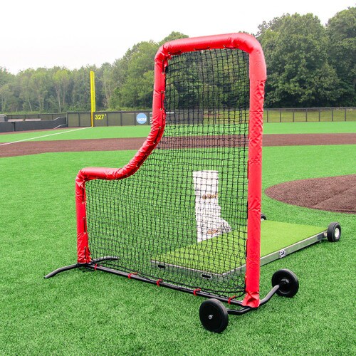 Baseball Protective Screen